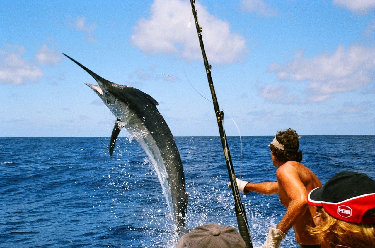 Fishing experience in Cabo